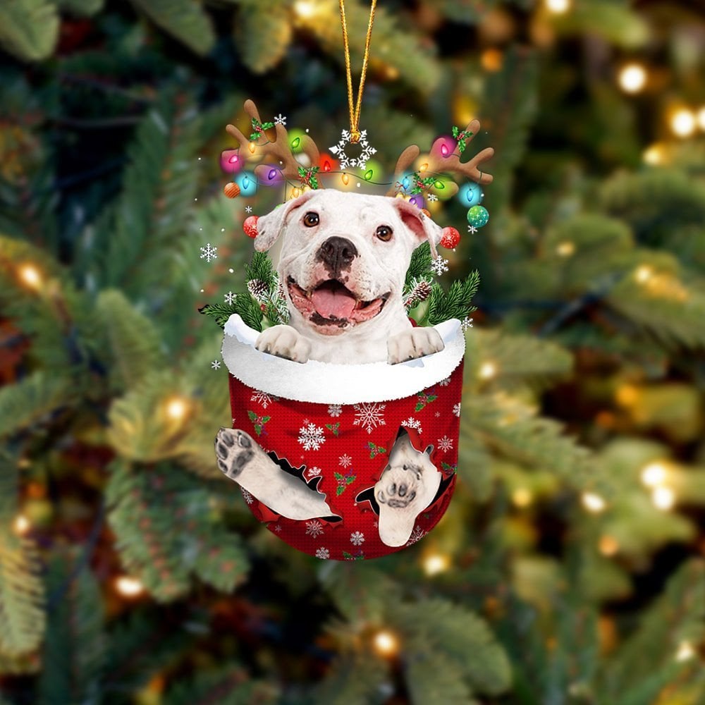 WHITE Pitbulll In Snow Pocket Ornament