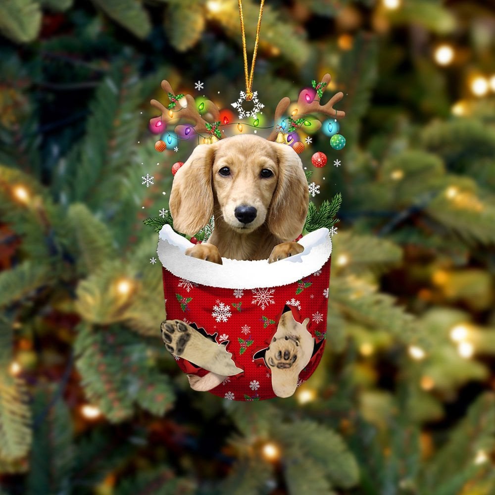 CREAM Lng haired Dachshund In Snow Pocket Ornament